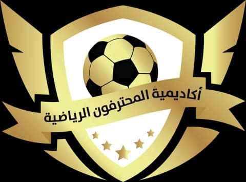 أكاديمية المحترفون لكرة القدم SPA